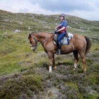 horse and rider in open terrain